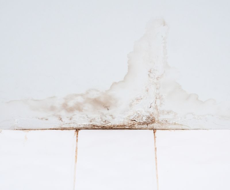 Ceiling Leak Repair Service in Summerville, SC