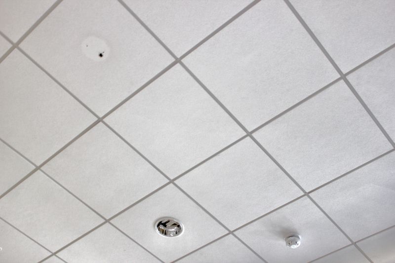 Commercial Ceiling Tile Installation